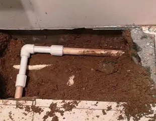 丰南测漏水哪家好