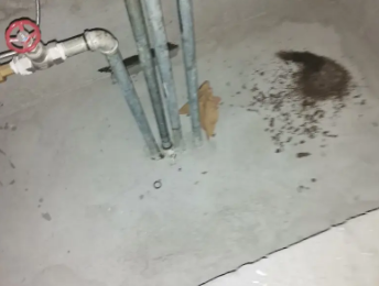 丰南卫生间测漏水价格明细